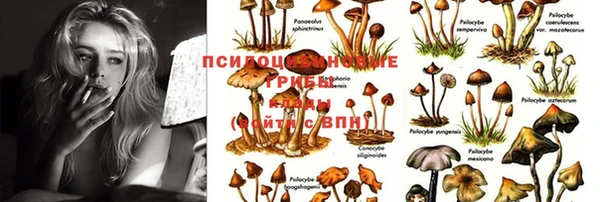 прущие крисы Аркадак