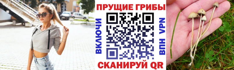 Галлюциногенные грибы MAGIC MUSHROOMS  Гуково 